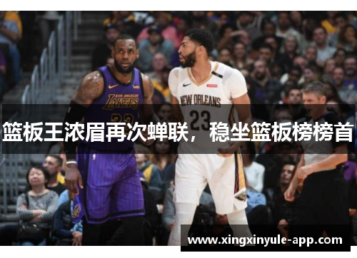 篮板王浓眉再次蝉联，稳坐篮板榜榜首